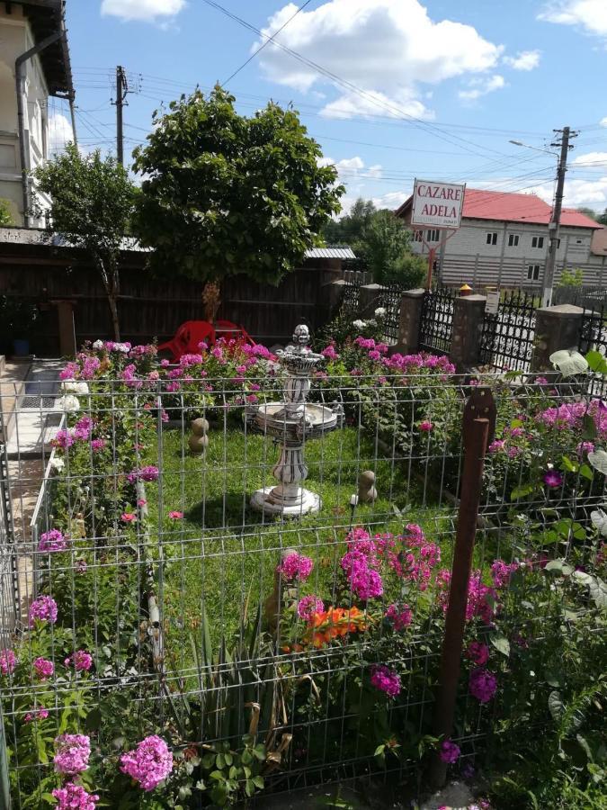 Cazare Adela Horezu Exterior foto